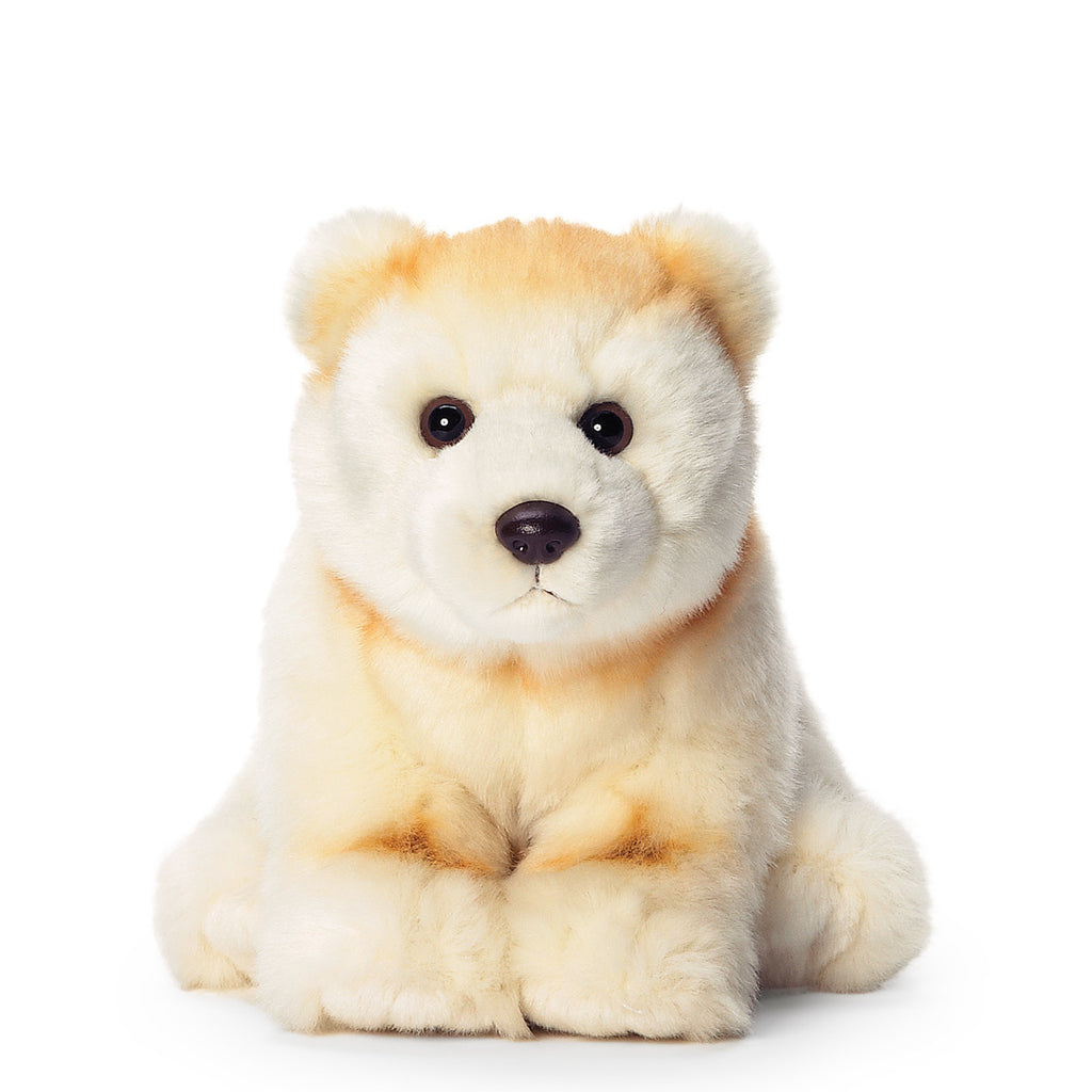 Kermode Bear WWF Back Office Test